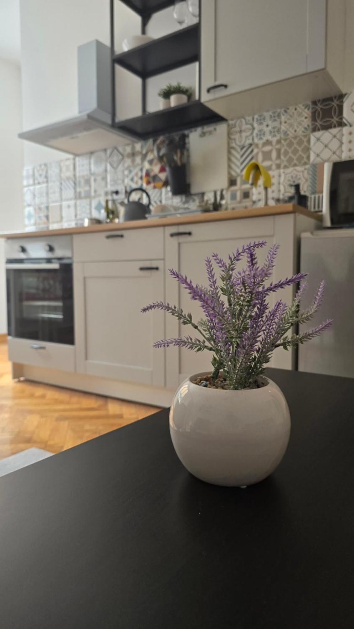 Apartment Major Bělehrad Exteriér fotografie